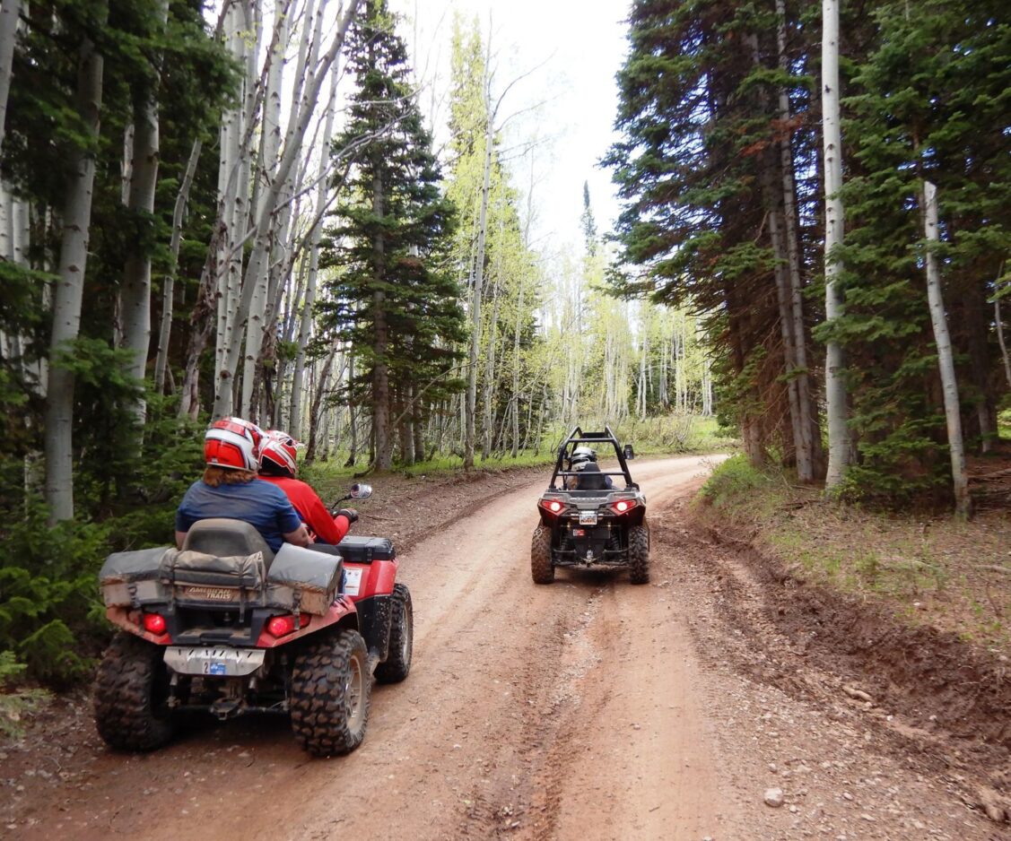 ATV Adventures Family fun on the Curtis Creek ATV Trail News, Sports